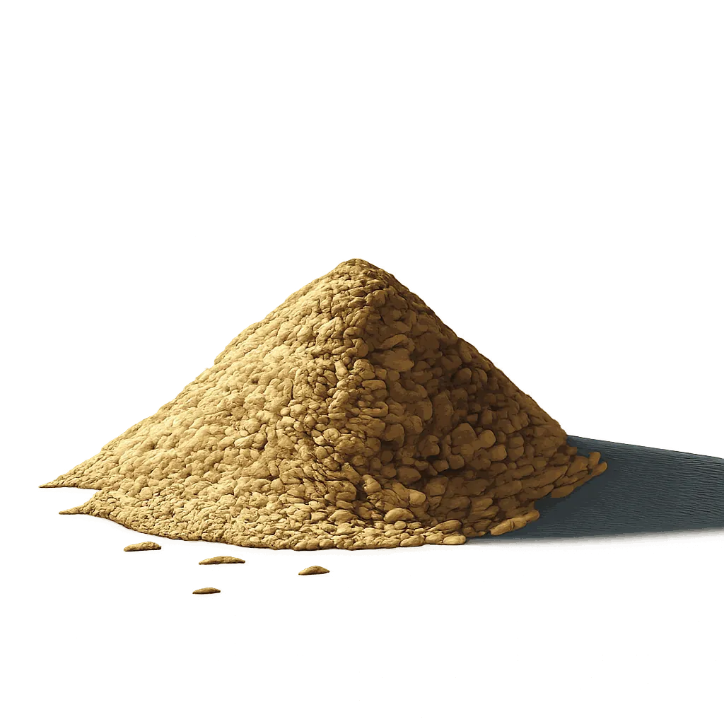 Sesame seed